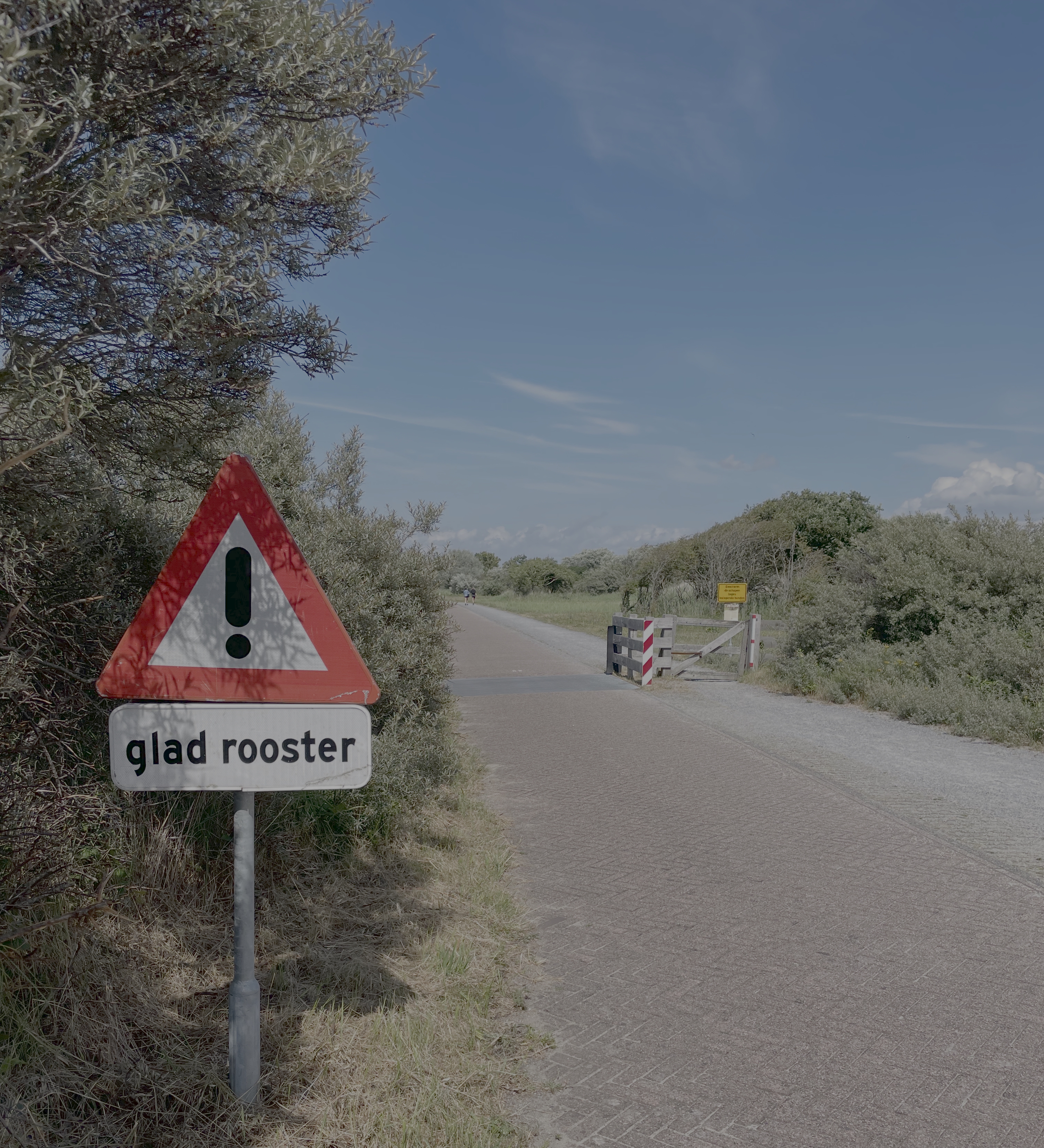 A sign reading 'glad rooster'